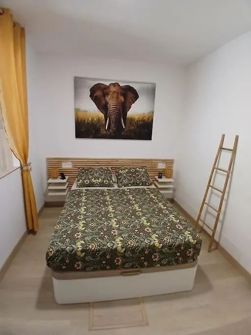 Elephant House A 10 Minutos Del Centro contacts