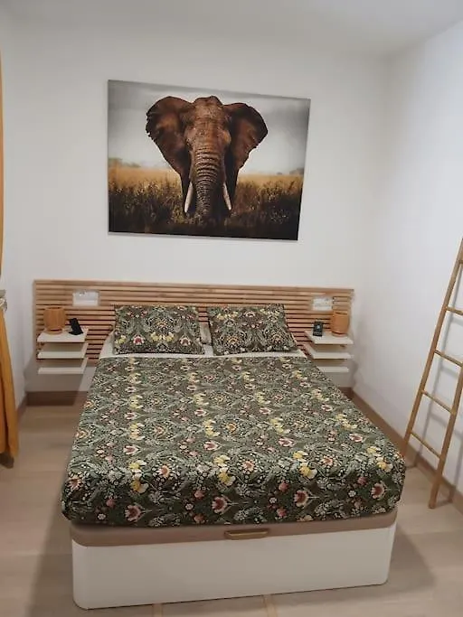 Elephant House A 10 Minutos Del Centro Màlaga Španělsko